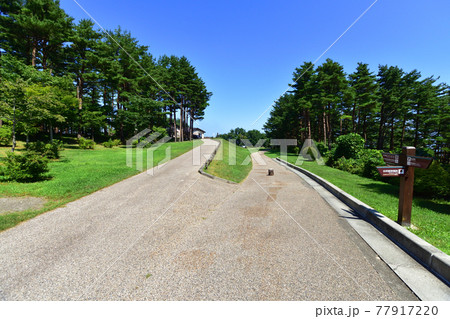 2020年夏、岩手県北山崎と周辺の風景 2020年夏、岩手県北山崎と周辺の風景 77917220