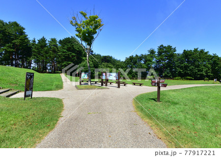 2020年夏、岩手県北山崎と周辺の風景 77917221