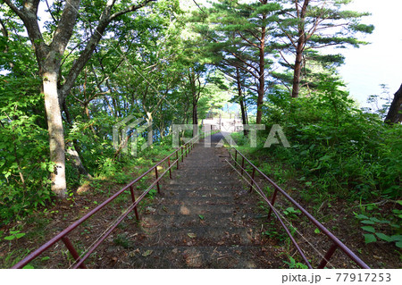 2020年夏、岩手県北山崎と周辺の風景 2020年夏、岩手県北山崎と周辺の風景 77917253