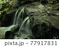 渓流の流れ 77917831