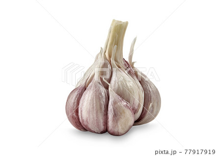 Unpeeled bulb of garlic with cloves, isolated on white background. Vegetable, spice. Close up, copy space 77917919