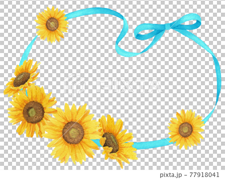 Watercolor frame illustration of sunflower and ribbon (light blue) 77918041
