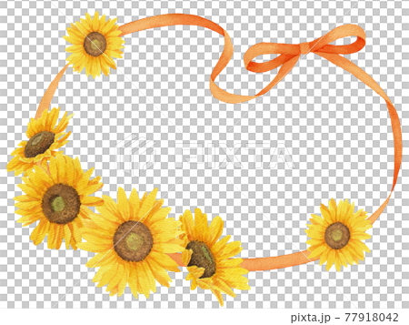 Watercolor frame illustration of sunflower and ribbon (orange) 77918042