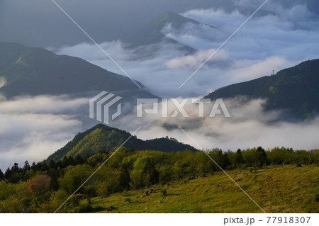 四国カルストから見える西予の山々と雲海 四国カルストから見える西予の山々と雲海 77918307