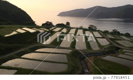 旅先で夕暮れ時の棚田と入り江を臨む 旅先で夕暮れ時の棚田と入り江を臨む 77918451