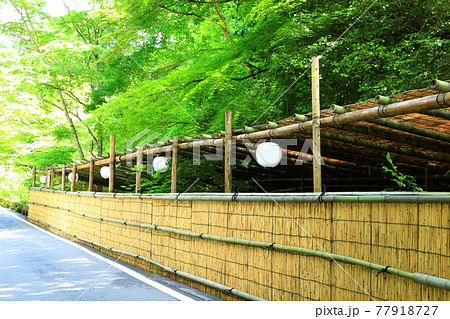 新緑の貴船 川床 新緑の貴船 川床 77918727