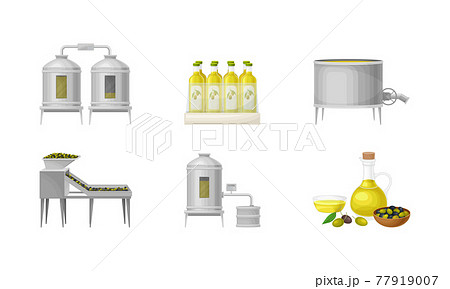 Olive Oil Production with Fruit Harvesting and Liquid Fat Extraction Vector Illustration Set 77919007