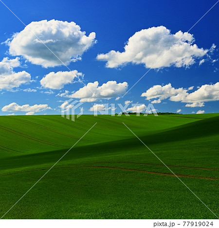 Beautiful spring landscape with blue sky, sun and clouds. Beautiful spring landscape with blue sky, sun and clouds. 77919024