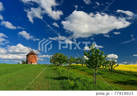 Beautiful spring landscape with blue sky, sun, clouds and old windmill. Beautiful spring landscape with blue sky, sun, clouds and old windmill. 77919025