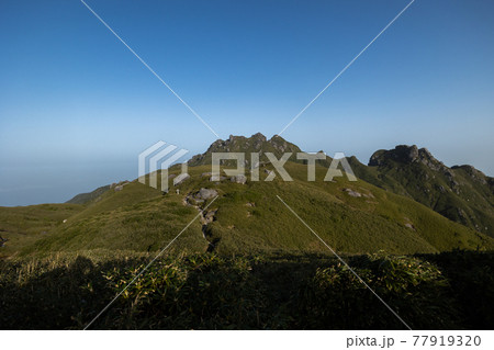 《鹿児島県 屋久島》永田岳と焼野三叉路 77919320