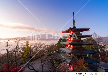 Rare scene of Chureito pagoda and Mount Fuji with morning fog, Japan in autumn Rare scene of Chureito pagoda and Mount Fuji with morning fog, Japan in autumn 77919355