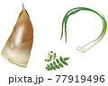 野菜イラスト_タケノコ_サンショウ_ノビル 77919496