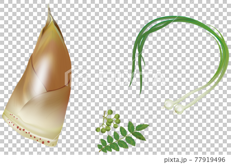 蔬菜插畫_竹筍_sansho_nobile 蔬菜插畫_竹筍_sansho_nobile 77919496