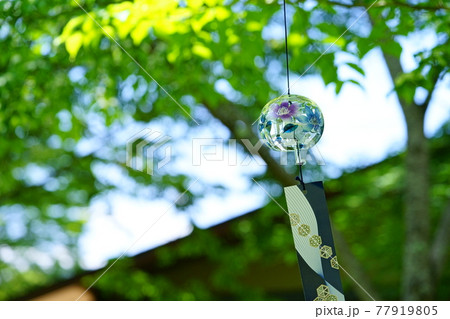 屋根を見上げる庭の風鈴1 77919805