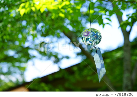 屋根を見上げる庭の風鈴2 77919806