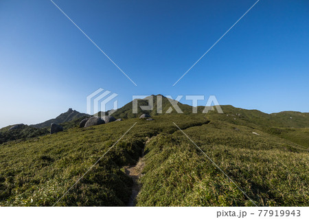 《鹿児島県 屋久島》宮之浦歩道から見る宮之浦岳 77919943