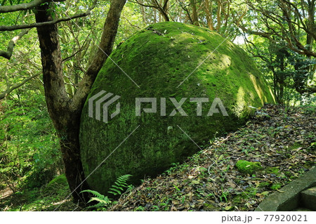 川平農村公園の巨石 77920021