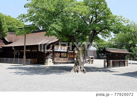 稲沢市国府宮神社 77920072