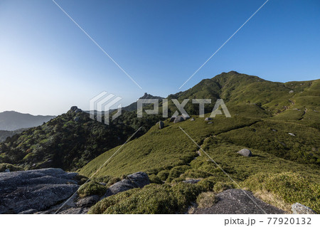 《鹿児島県 屋久島》宮之浦歩道から見る宮之浦岳 《鹿児島県 屋久島》宮之浦歩道から見る宮之浦岳 77920132