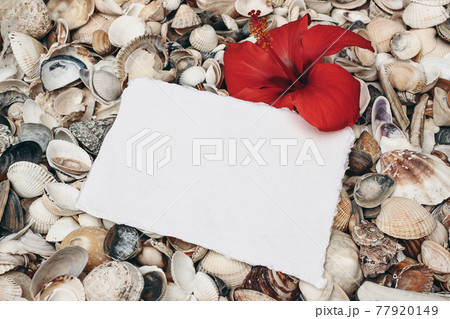 Closeup of white and gray pebble stones and sea shells on beach. Blank greeting card, invitation mockup with hibiscus flower. Ocean, seashore natural textured background. Summer vacation concept. 77920149