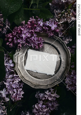 Moody spring wedding stationery mockup scene. Blank greeting card, invitation on vintage silver plate. Purple lilacs flowers and rain drops. Blooming Syringa bush in the garden. Vertical flat lay, top Moody spring wedding stationery mockup scene. Blank greeting card, invitation on vintage silver plate. Purple lilacs flowers and rain drops. Blooming Syringa bush in the garden. Vertical flat lay, top 77920162