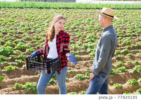 Farmer young man and woman communicate in the field Farmer young man and woman communicate in the field 77920195