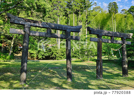 諏訪神社(鹿児島県薩摩川内市東郷町斧淵)の並立鳥居 諏訪神社(鹿児島県薩摩川内市東郷町斧淵)の並立鳥居 77920388