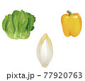 野菜イラスト_サラダ菜_チコリ_パプリカ 77920763