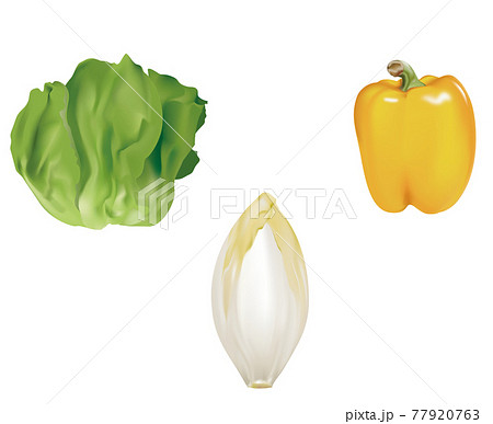 野菜イラスト_サラダ菜_チコリ_パプリカ 77920763