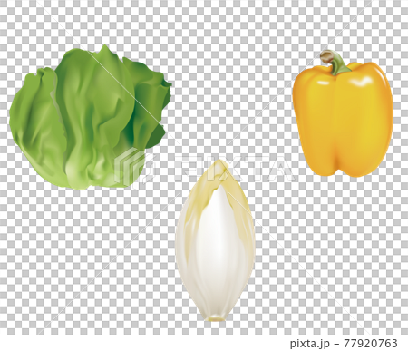 野菜イラスト_サラダ菜_チコリ_パプリカ 77920763