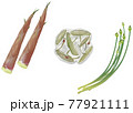 野菜イラスト_ハチク_じゅんさい_ハナニラ 77921111