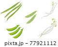 野菜イラスト_インゲン_スナップエンドウ_絹さや_豆もやし_もやし 77921112