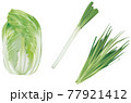 野菜イラスト_白菜_白ネギ_ニラ 77921412