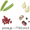 野菜イラスト_グリンピース_らっきょう_小豆_花豆_豆 77921413