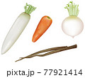野菜イラスト_大根_人参_聖護院大根 77921414