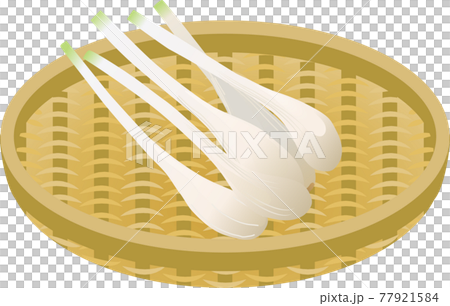エシャレット 77921584