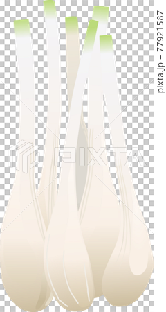 エシャレット エシャレット 77921587