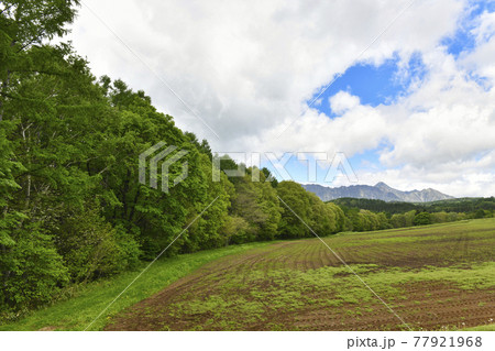 蕎麦畑と戸隠山 蕎麦畑と戸隠山 77921968