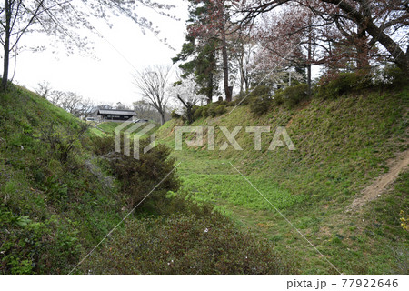 鈴岡城跡 主郭~二郭の空堀 鈴岡城跡 主郭~二郭の空堀 77922646