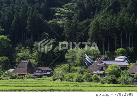 美山　茅葺きの里　古民家の風景　【京都府】 77922999