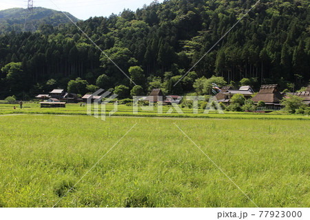 美山 茅葺きの里 古民家の風景 【京都府】 美山 茅葺きの里 古民家の風景 【京都府】 77923000