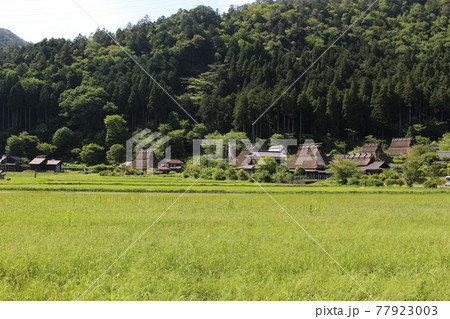 美山　茅葺きの里　古民家の風景　【京都府】 77923003