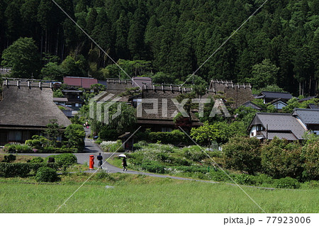 美山 茅葺きの里 古民家の風景 【京都府】 美山 茅葺きの里 古民家の風景 【京都府】 77923006