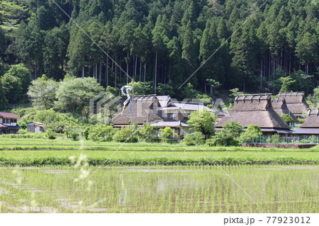 美山　茅葺きの里　古民家の風景　【京都府】 77923012