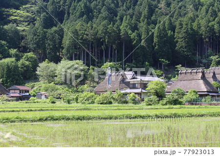 美山　茅葺きの里　古民家の風景　【京都府】 77923013