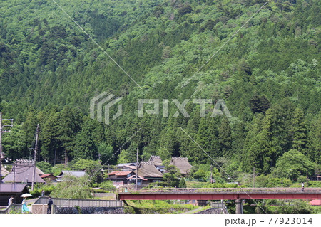 美山 茅葺きの里 古民家の風景 【京都府】 美山 茅葺きの里 古民家の風景 【京都府】 77923014