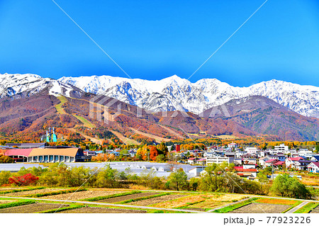 八方尾根、北アルプス／白馬三山を望む(長野県白馬村)【2020.11】 77923226