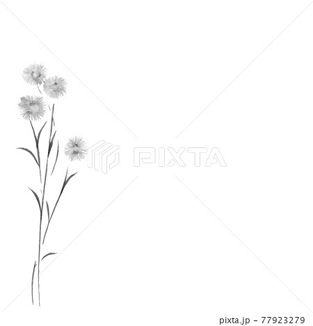 花圖 Haldion 插圖素材 圖庫