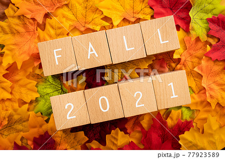 2021年の秋｜「FALL」と書かれた積み木と紅葉した落ち葉 77923589