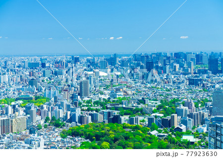 東京風景 ビル群と東京湾 東京風景 ビル群と東京湾 77923630